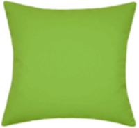 Sunbrella® Canvas Macaw Green Indoor/Outdoor Solid Color Pillow