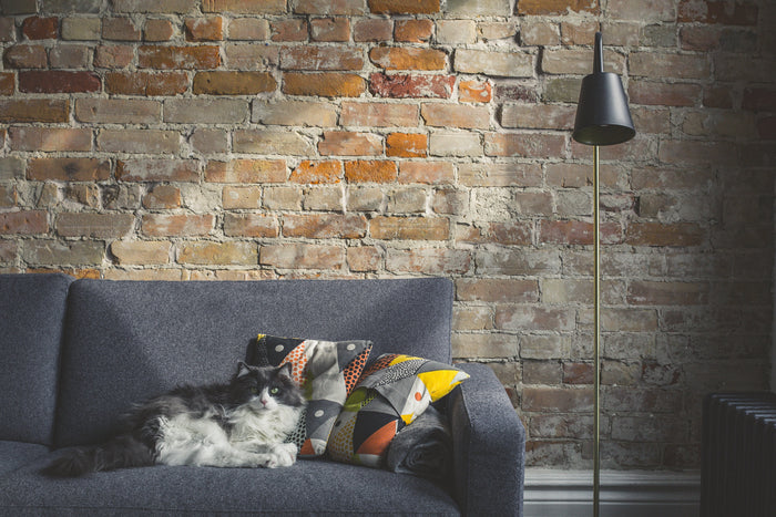 Contemporary Solid Color Indoor Pillows