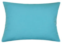 Sunbrella® Canvas Aruba Blue Indoor/Outdoor Solid Color Pillow