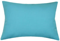 Sunbrella® Canvas Aruba Blue Indoor/Outdoor Solid Color Pillow