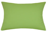 Sunbrella® Canvas Gingko Green Indoor/Outdoor Solid Color Pillow